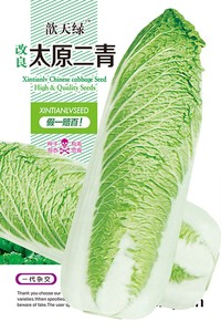 改良太原二青